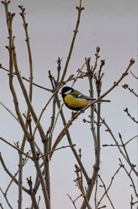 ������ ����!� ������� ������ �� 3 �������