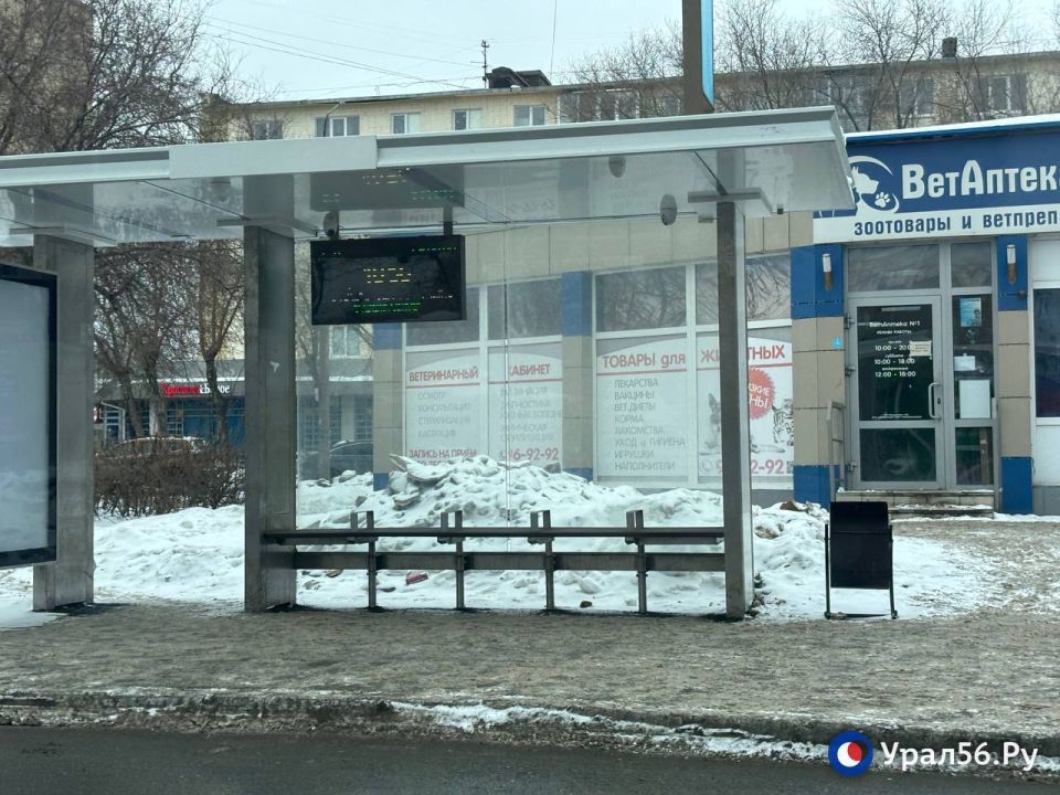 ����� � �������: ��� �������� ������ ��������� ��������� ������ �����?