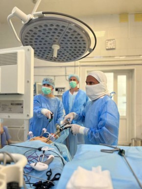 ������������� ������ ������������ ��������� ����������� �������� ��. �. �. ������� ����������� ������ �������� ������������ ��������