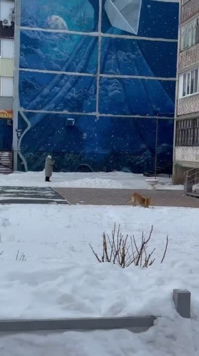 ����� ��������� �� ����� � ����� ���� ��������� ����� ����� ��������� �� ������ ������