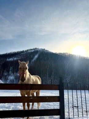 ������ ����!� ������� ������ �� 7 �������