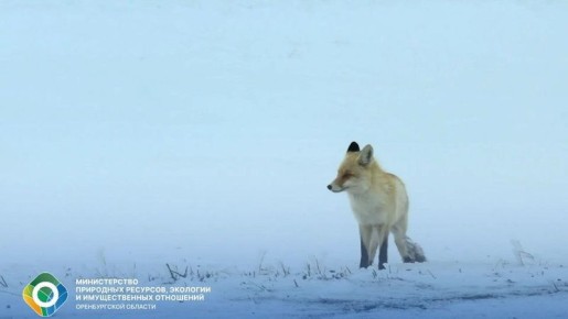 ����������� ������������ � ����� ��������, ������� ����� ����� � ������ � ���