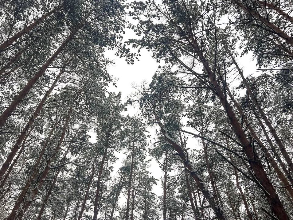 � ���������� ����������� �������� ����� ��������� ��������, ���������� ����� � �������� �����