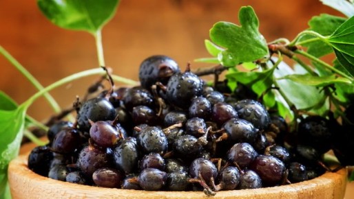 ��� �������� ������� ����� ������ ��������� ��� �����