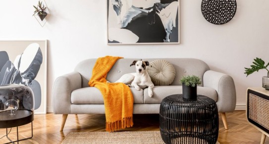 ��� �������� �� 35% �������� �� �������� �� ��������� �������� ������ � 2026 ����