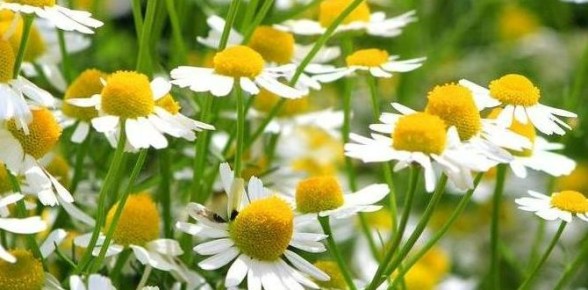 ������� ������ 2026 ����: ��� ��������� ������� � �������� � ��������