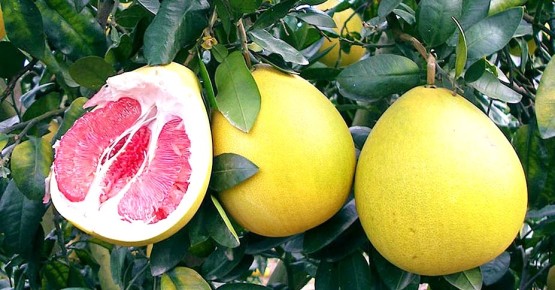 ������: ��������� ������� � ������� ���������� � ��� ������������ ������������