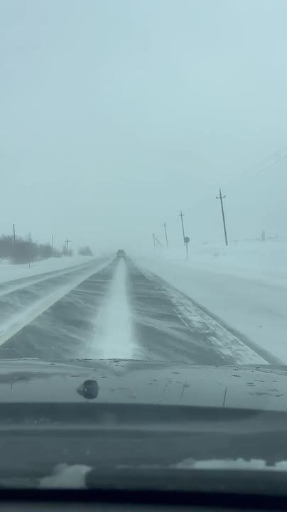 ������ �������� - ���� � ������ ������������