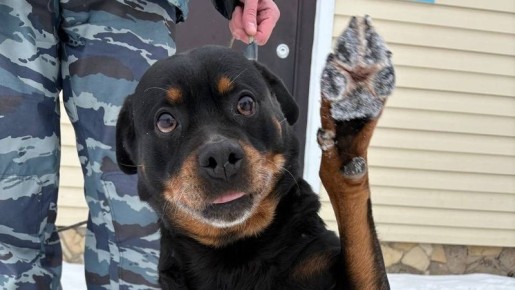 ��� ��� ������ ��������� ���������������� ���� ����������� ����������