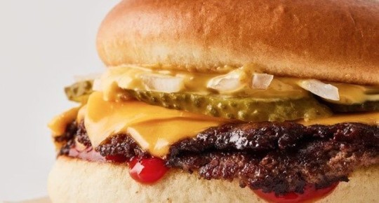 ������ ����-������� �������� ���: ������ � ������� �� �������������