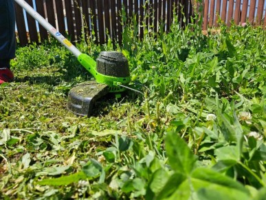 ������ ������� �� ����� ����� �������� � ��������� �������?