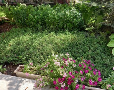 ��� ��������� �������������� ������ �� ������: ������� � ������