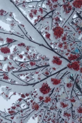 ������ ����!� ������� ������ �� 12 �������