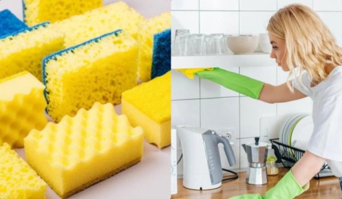 �������� ���� ����� � ������ ����: 10 �����, ������� ����� ���������