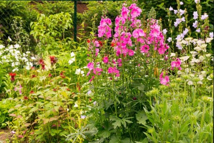 ���������: ����������� ������ � ������������� ������