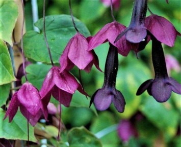 10 ����� �������� ������������ ��� ������� � ������