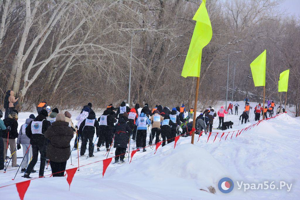 Около тысячи жителей Орска сегодня вышли на «Лыжню России –2026» Около тысячи жителей Орска сегодня вышли на «Лыжню России –2026»