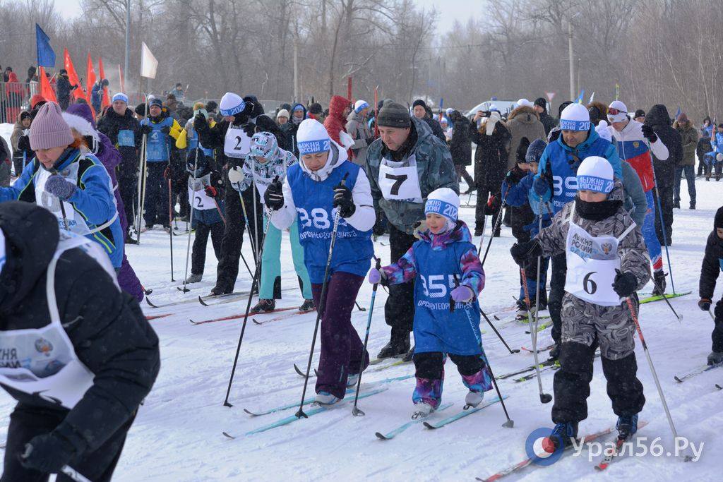 Около тысячи жителей Орска сегодня вышли на «Лыжню России –2026» Около тысячи жителей Орска сегодня вышли на «Лыжню России –2026»