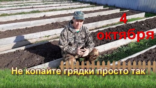 Как создать плодородную почву: ошибки и советы огородников