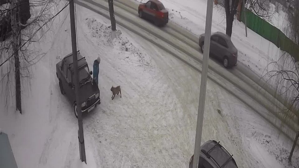 ������, ���������������� ���������� ������, ������ �� ������� � �������������