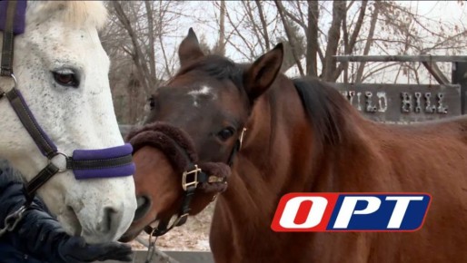 20 ���� ����� ��� �������� �� ������� � ���������� �� ����������