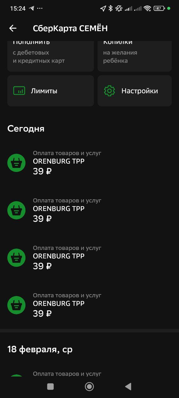 Жительница Оренбурга жалуется на грубость водителя автобуса №17 по отношению к детям