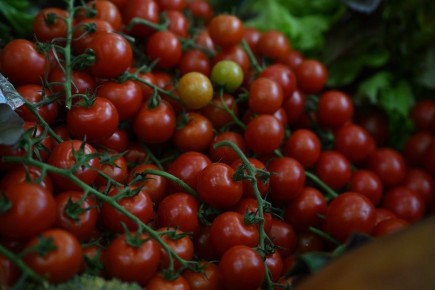 Кировчане стали настоящими мастерами огородного дела