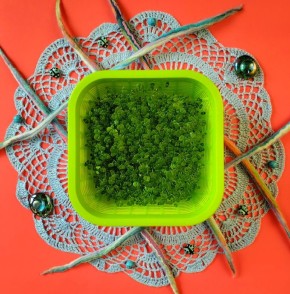 ����������� ���: ������� ����������� � ������������ �������� ��������