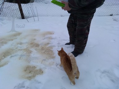 ��� ��������� ������������ ����� ��� �������� ��������