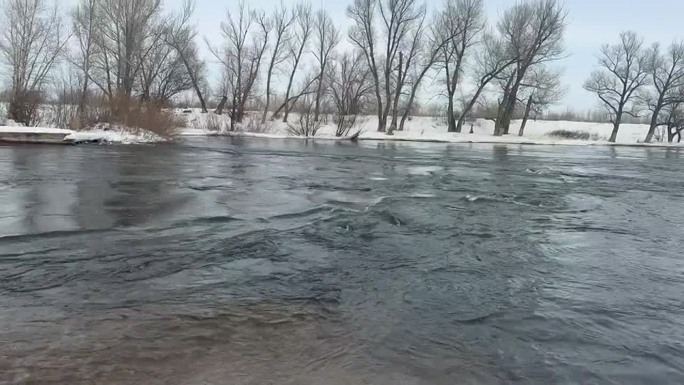 ���� ������� ��������, ���� ����������