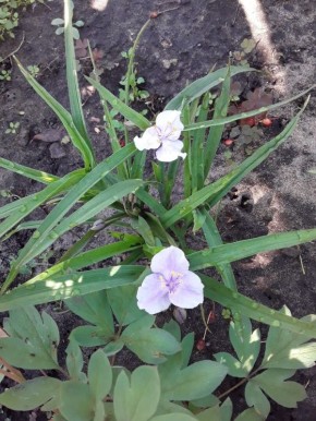 ������������: ������, ������� ������ ���� � ����