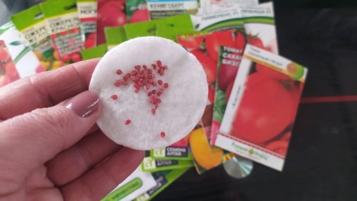 ������ � ������ �������: ������� ��������� ������