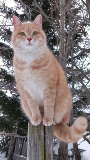 ������ ����!� ������� ������ �� 24 �������