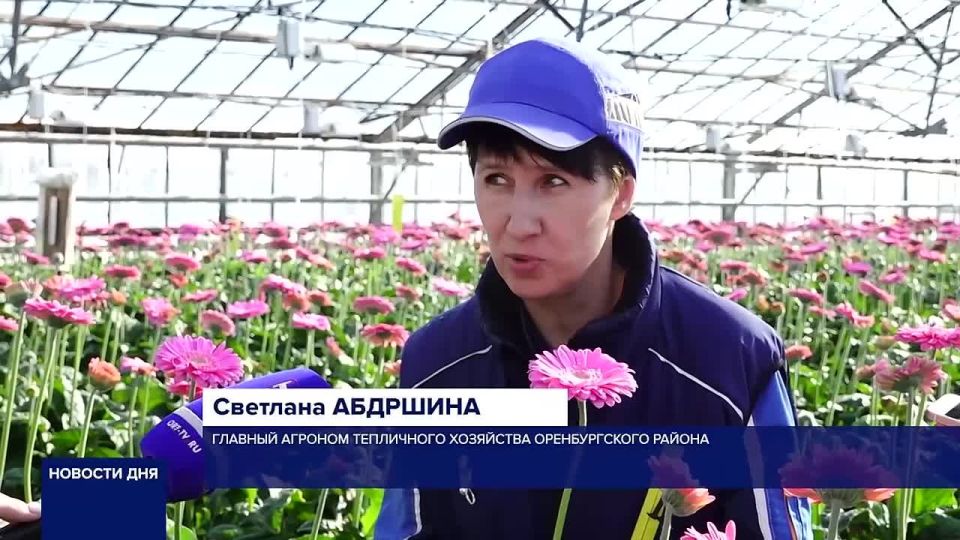 ����� � ���������. �� �������������� �������� ��� �������� ���� ������ ������. ���� �� ������ ����� �������, � �������� ������� ��������� ����� ������. ��������� ���������� �� ������ ��� ������������, ��� ������ �����...