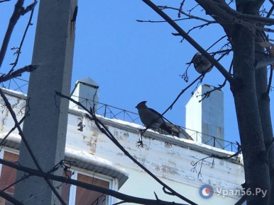 � ���� ��������� ����������