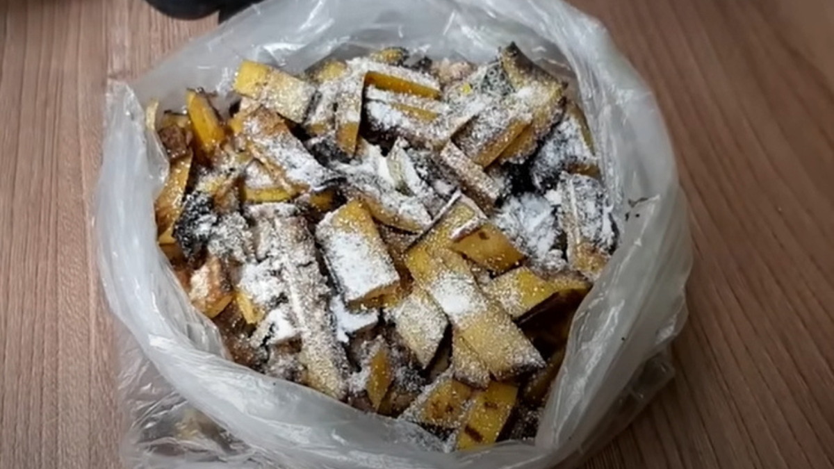 Эффективные способы борьбы с муравьями на вашем участке