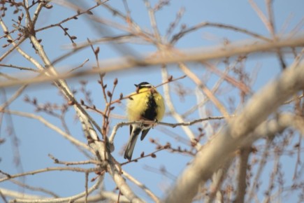 ������ ����!� ������� ������ �� 28 �������