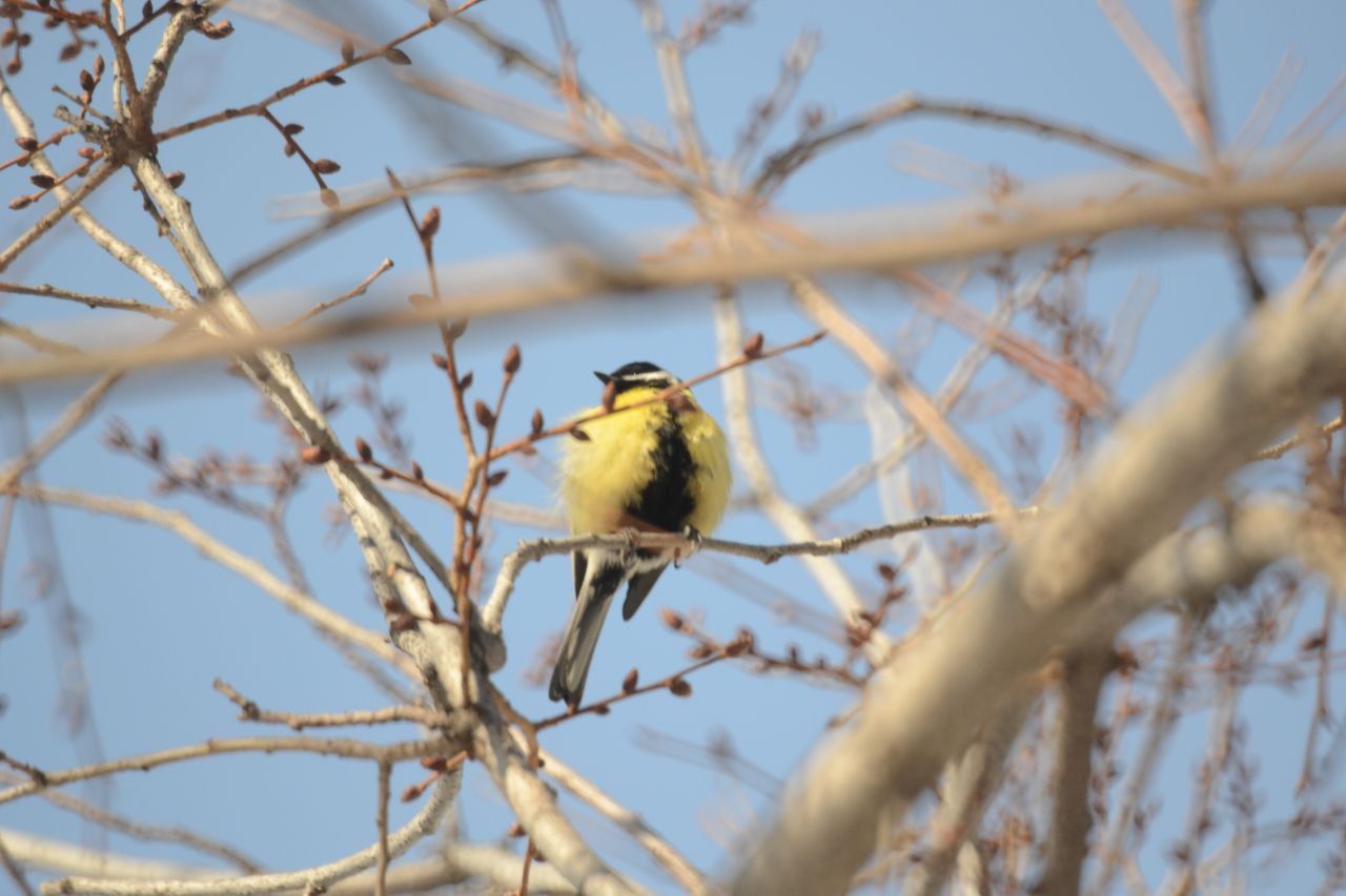 Доброе утро! Прогноз погоды на 28 февраля