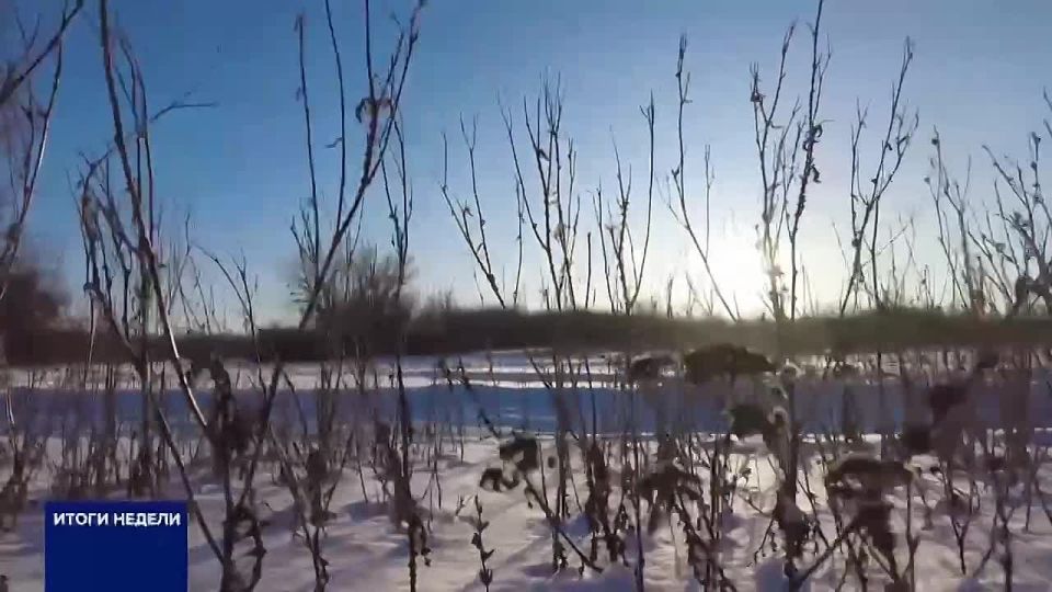 ��������� 2026: � ���� ����������?