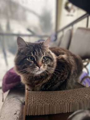 Доброе весеннее утро! Прогноз погоды на 1 марта