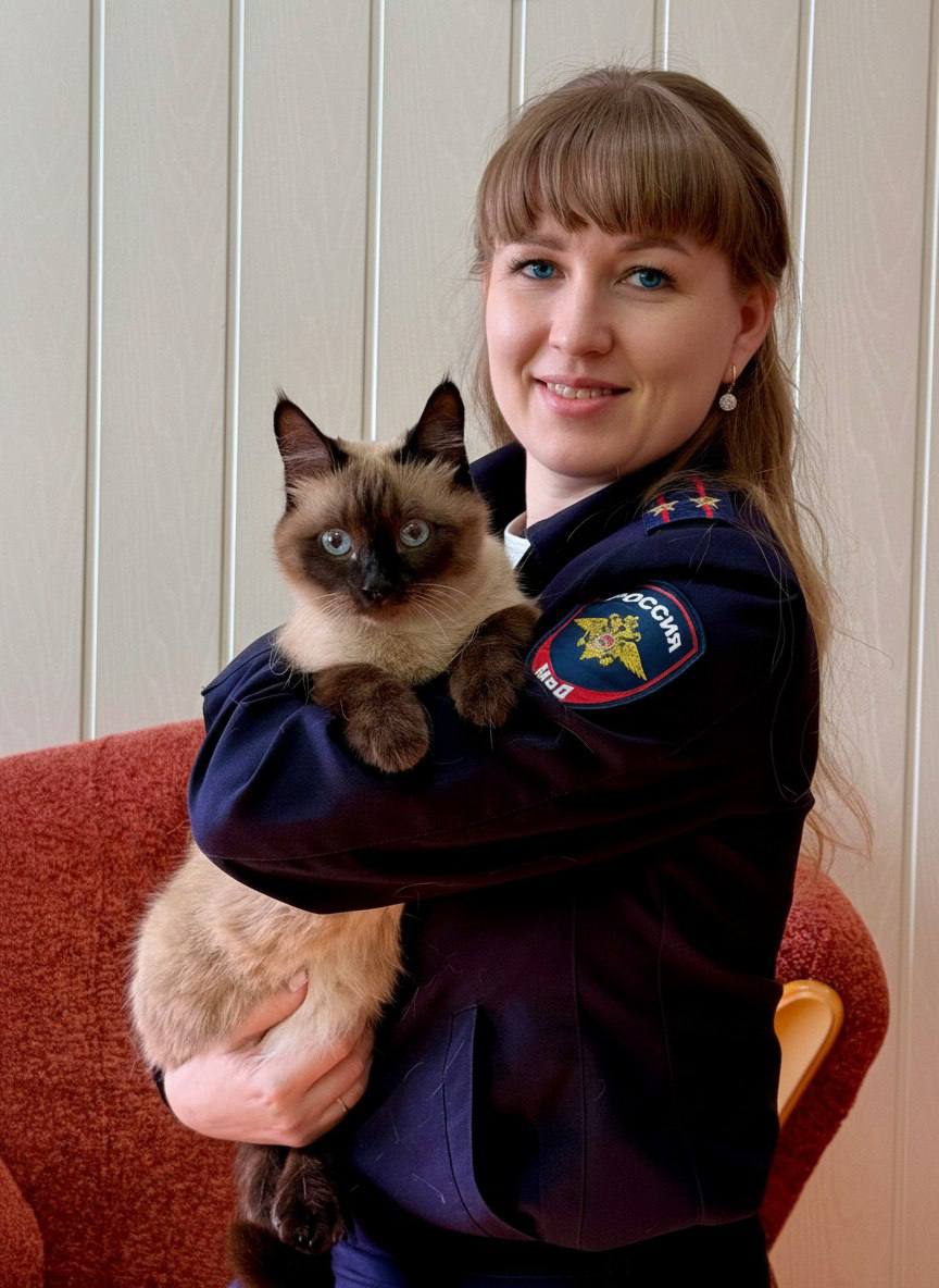 С первым днем весны в России отмечают день кошек! Это неофициальный праздник, но отмечается он в нашей стране с 2004 года С первым днем весны в России отмечают день кошек! Это неофициальный праздник, но отмечается он в нашей стране с 2004 года