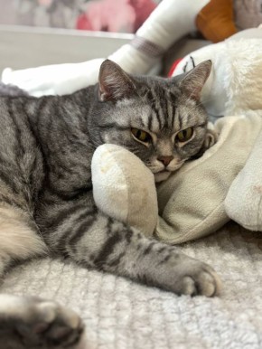 ��������: ������� �������� ������ � �������