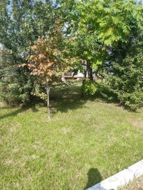 ����� �������� ������: ��� ����������� �������� � ����