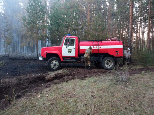 В Бузулукском бору установят «датчики гроз» и дрон для поиска пожаров