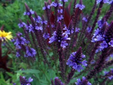 ���������� �������: ������� � ����������� � ������