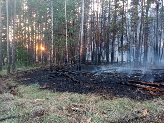 В Бузулукском бору установят «датчики гроз» и дрон для поиска пожаров В Бузулукском бору установят «датчики гроз» и дрон для поиска пожаров