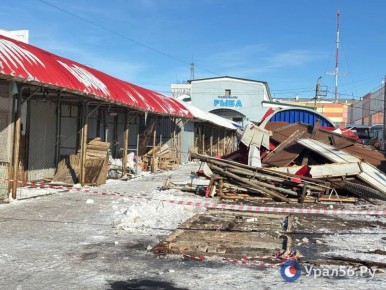 �������� ����������� �� �����: ��� ���� ����������� ����� � ��������� � ��������� �����?