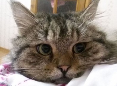 ������ ����!� ������� ������ �� 3 �����