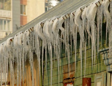 ������ ����!� ������� ������ �� 4 �����