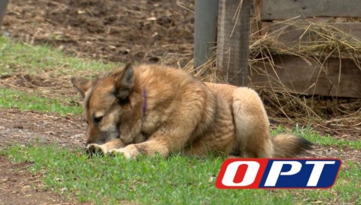 ����������� �� ����� ������� � ������ ��-�� ����� ��������� ������